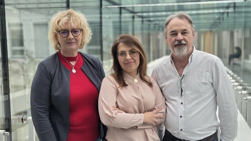 dr hab. Beata Kalska-Szostko, prof. UwB, dr Urszula Klekotka, dr hab. Dariusz Satuła, prof. UwB  