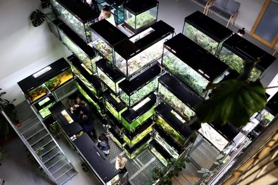 Egzotarium Wydziału Biologii Uniwersytetu w Białymstoku