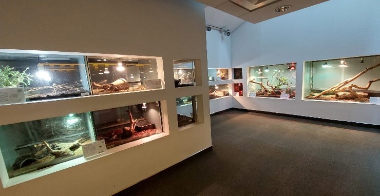 Egzotarium