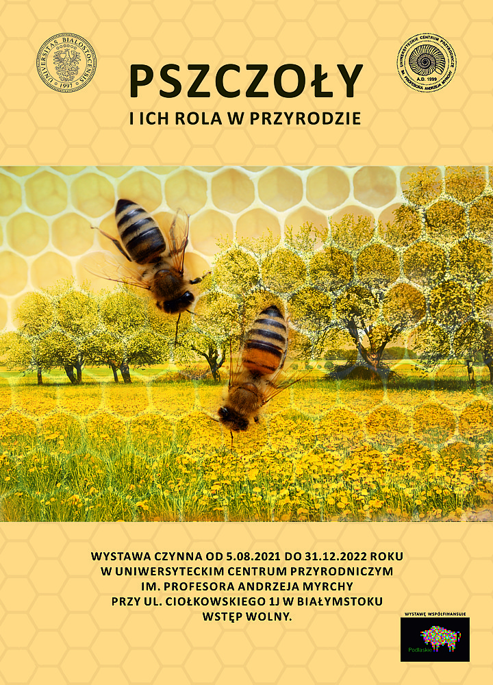 Pszczoły i ich rola w przyrodzie - plakat wystawy