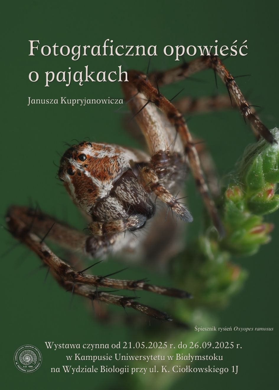 fotograficzna_opowiesc_o_pajakach_plakat.jpg
