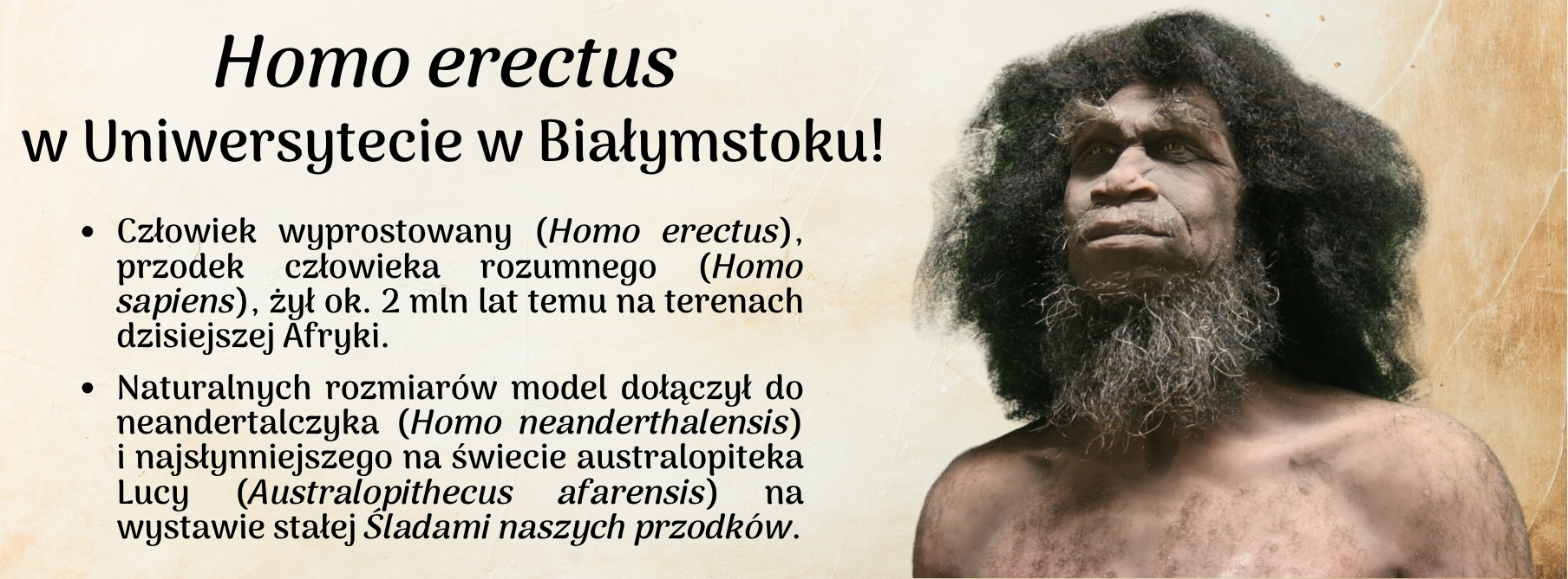homo_erectus_tlo_www_ucp.jpg