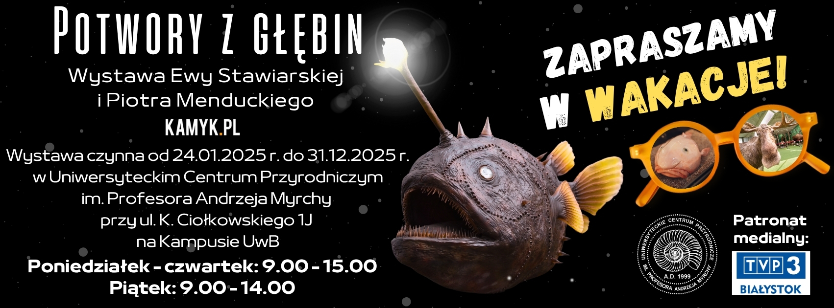 tlo_wakacje_2025-1.jpg