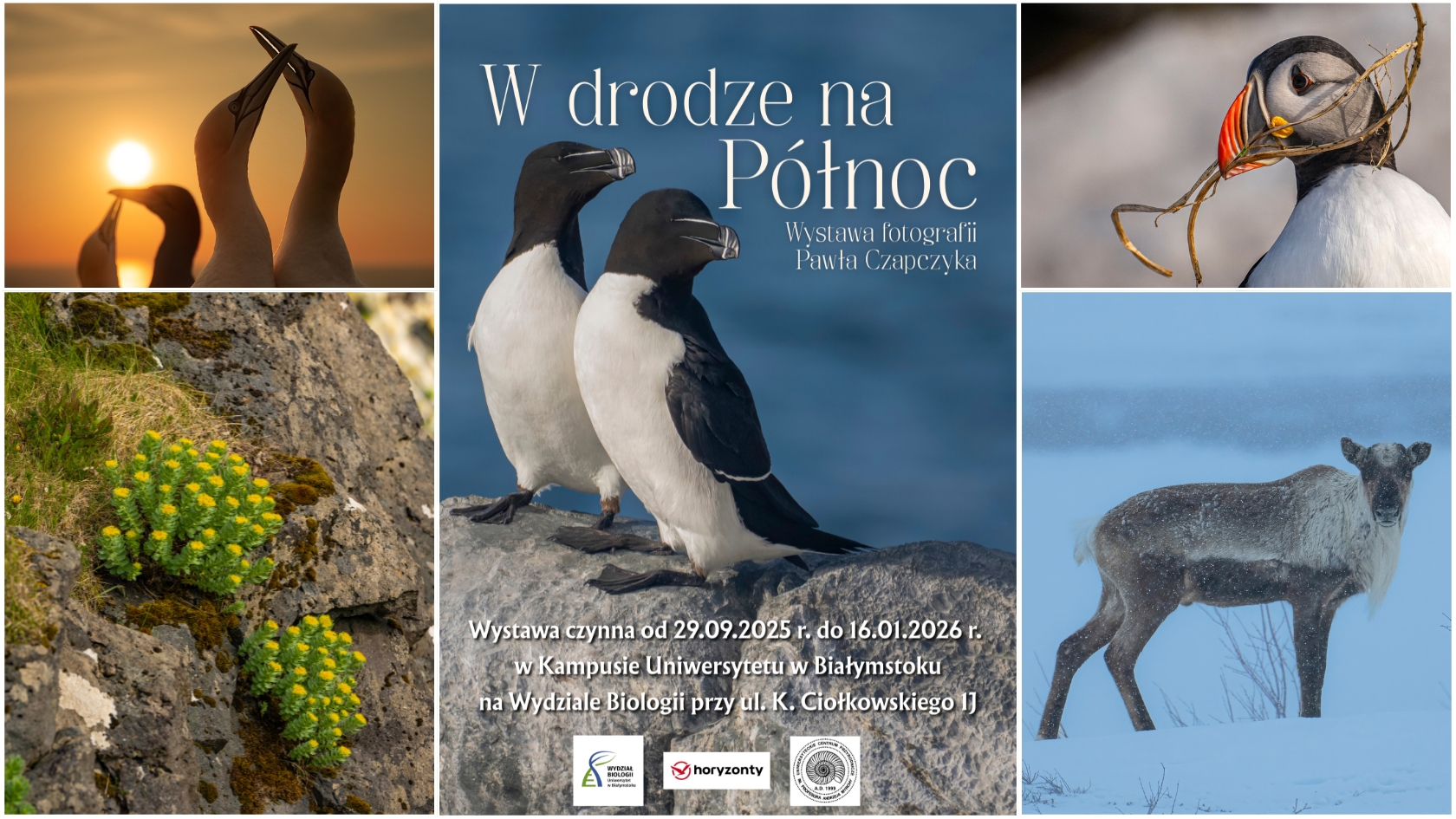 w_drodze_na_polnoc_tlo_www.jpg
