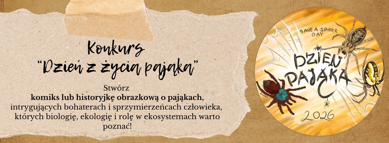 dzien_z_zycia_pajaka_tlo.jpg