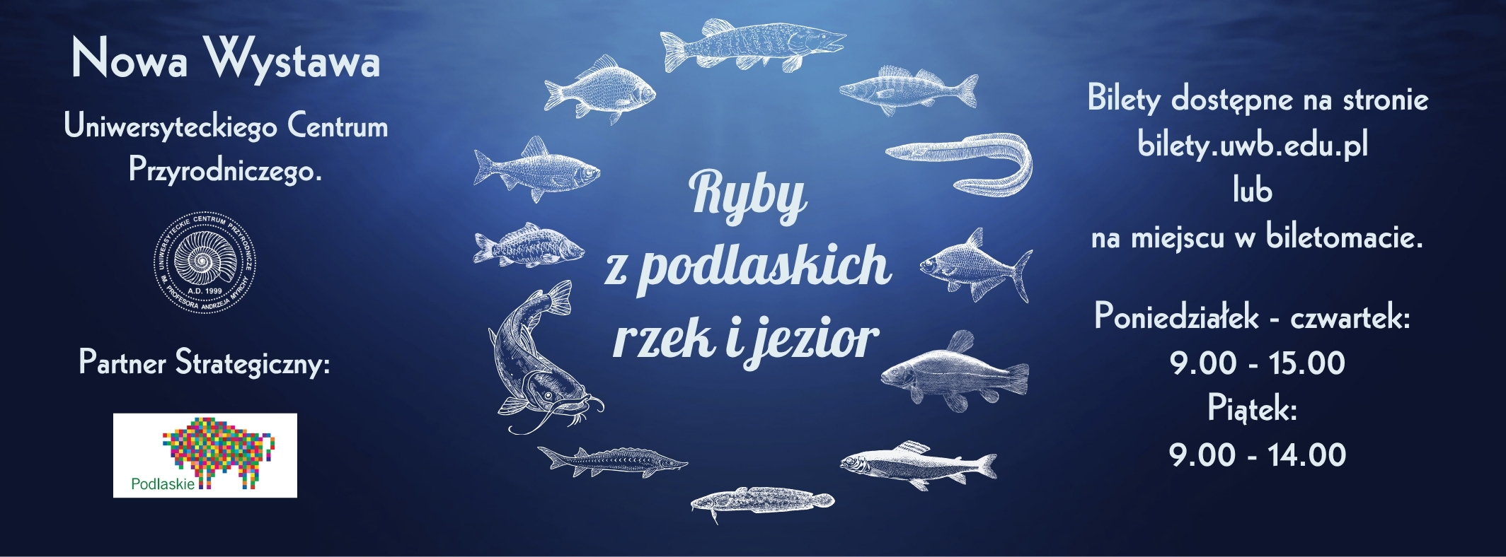 ryby_tlo_2_www.jpg