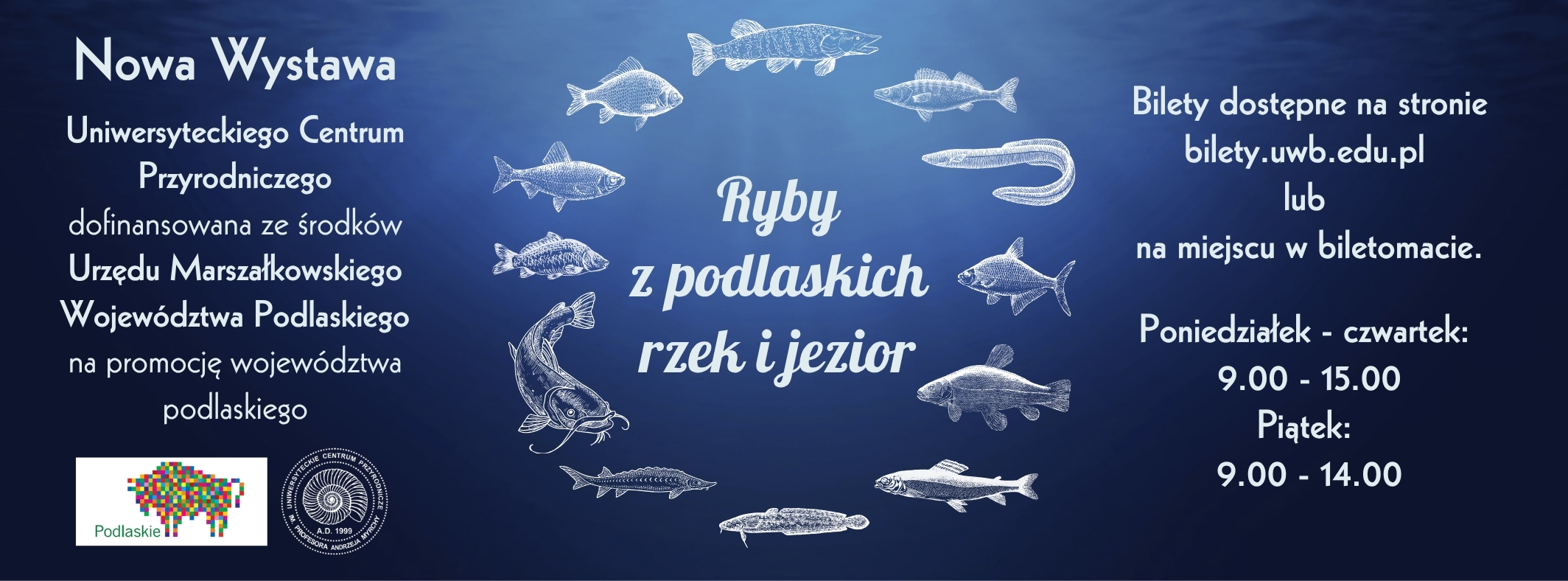 ryby_z_podlaskich_jezior_i_rzek_tlo.jpg