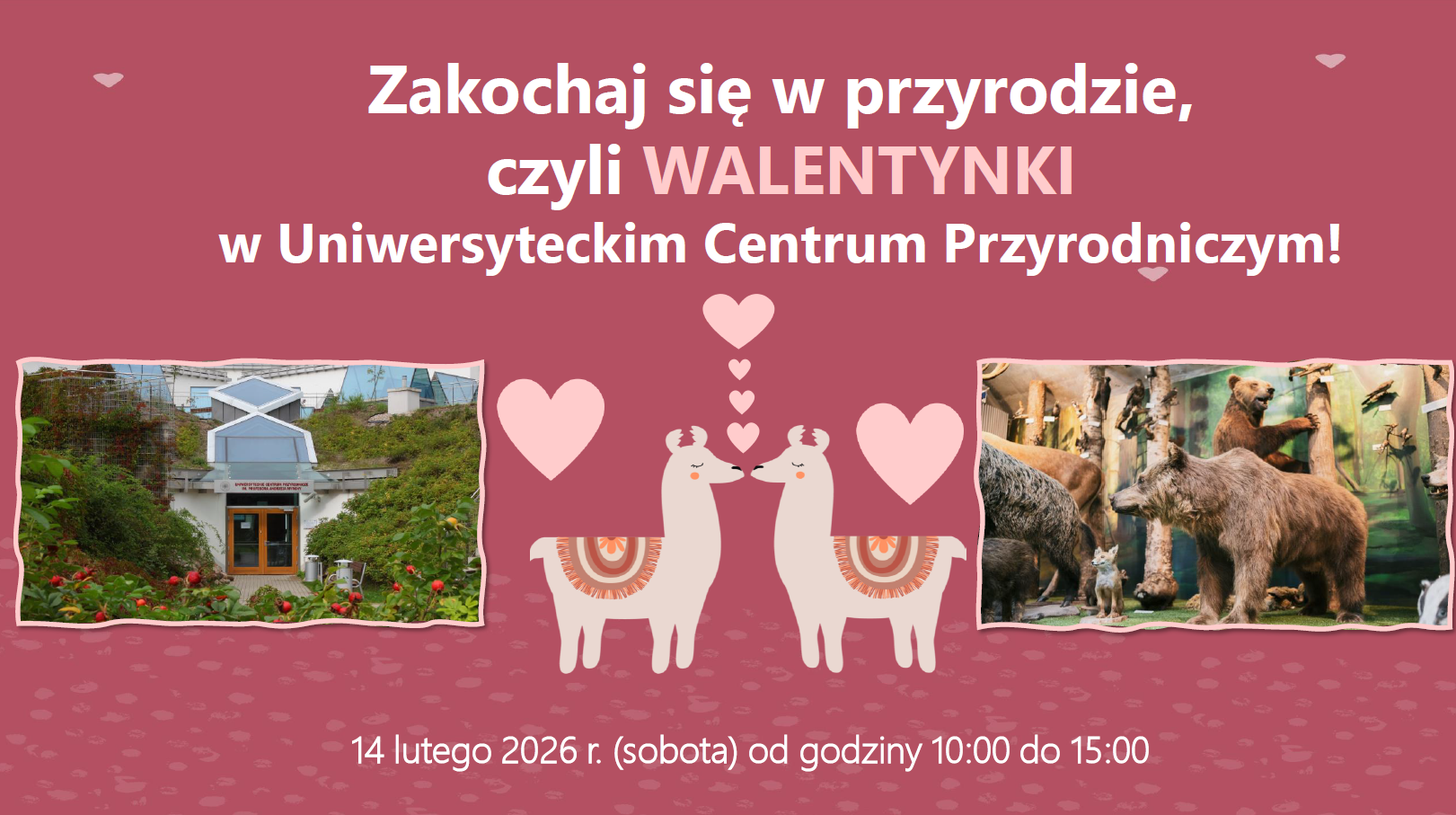 walentynki_2026_ucp_tlo.png