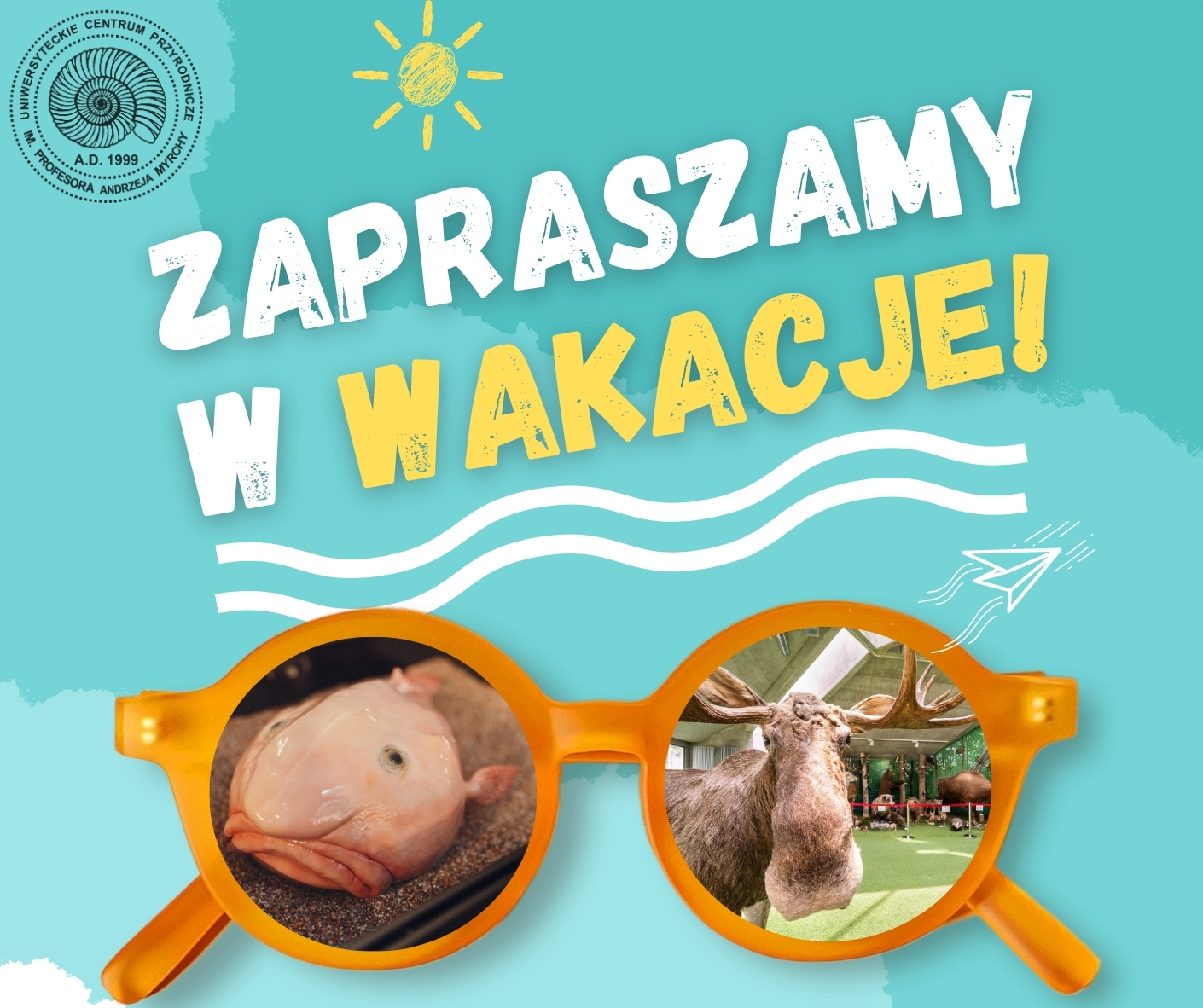 wakacje_ucp_1.jpg