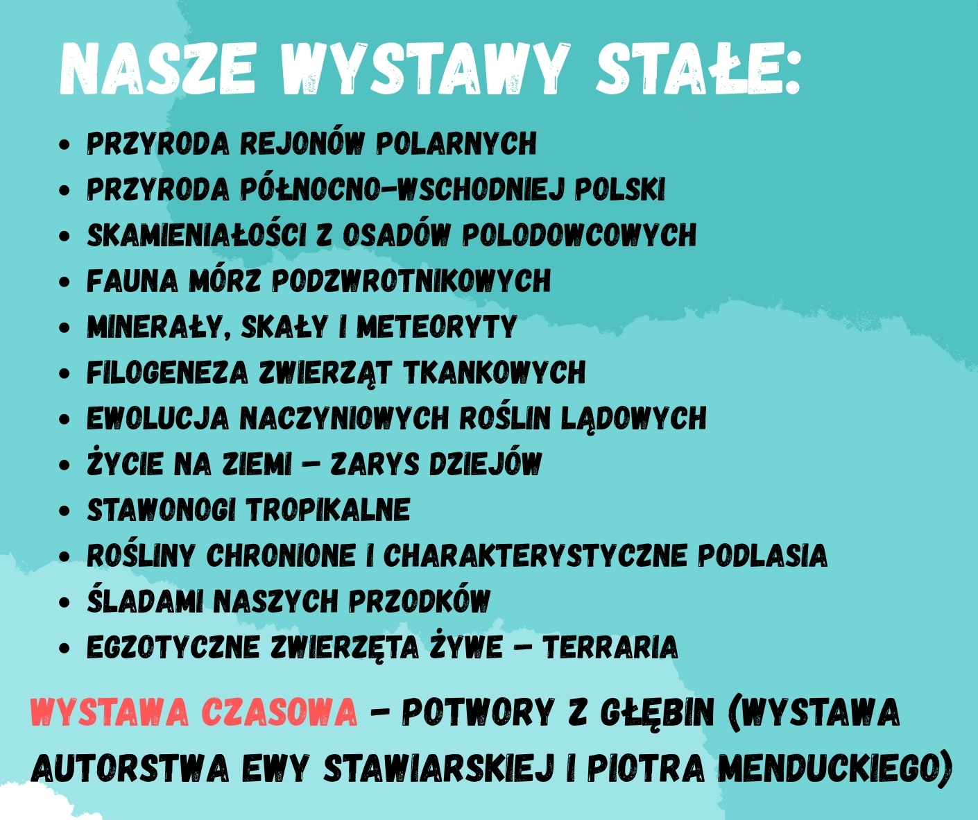 wakacje_ucp_8.jpg