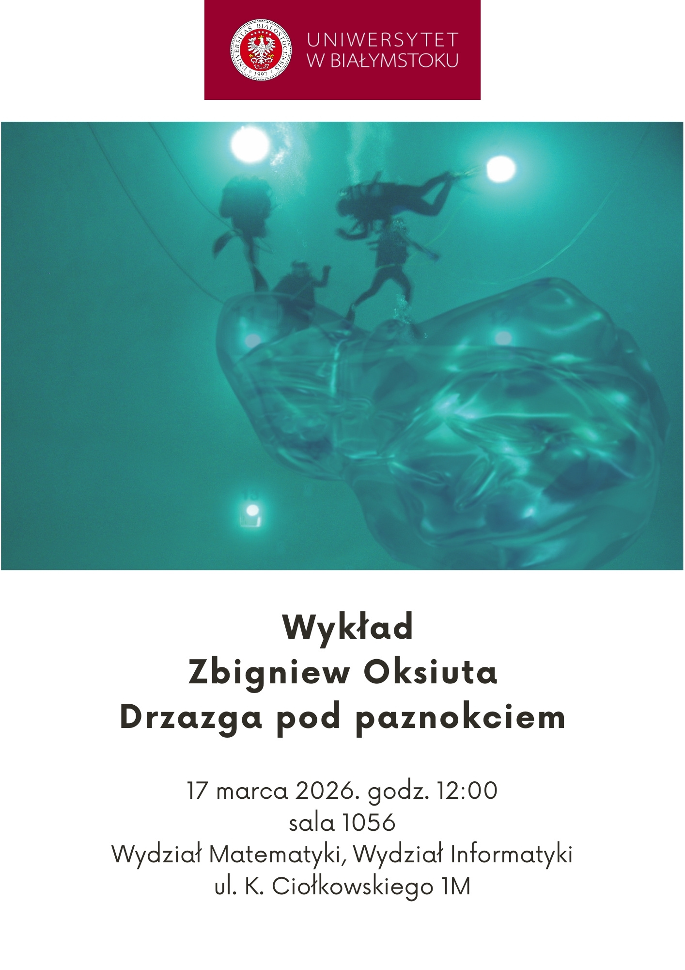 Drzazga pod paznokciem - plakat