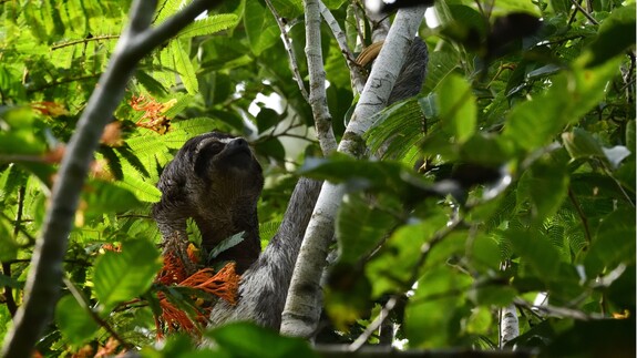 Amazonia – wyprawa do krainy bioróżnorodności