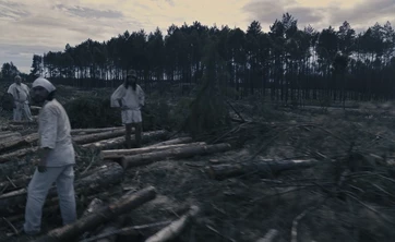 Agnieszka Polska, "Demon&rsquo;s Brain", 2018, czterokanałowa instalacja wideo, 7&prime;24&Prime;