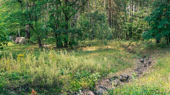 tu powstanie Park Bioróżnorodności