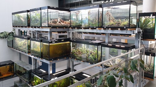 Egzotarium Wydziału Biologii UwB