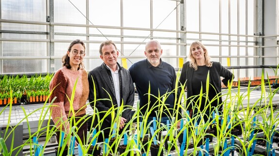 naukowcy z Hasselt University 