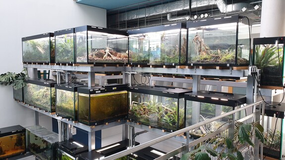 Egzotarium Wydziału Biologii UwB