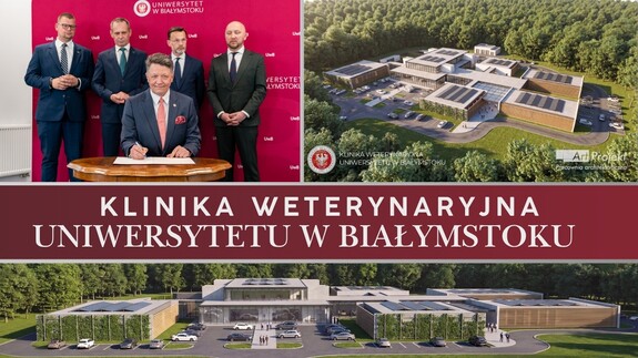 grafika