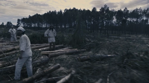 Agnieszka Polska, "Demon’s Brain", 2018, czterokanałowa instalacja wideo, 7′24″