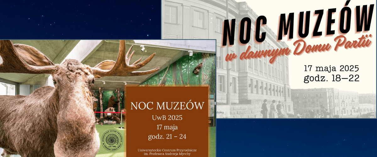 noc muzeów
