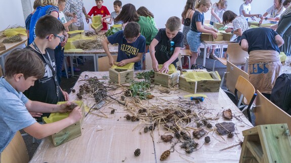 „Zielone Miasto dzikich zapylaczy” czyli Festiwal the New European Bauhaus w kampusie UwB