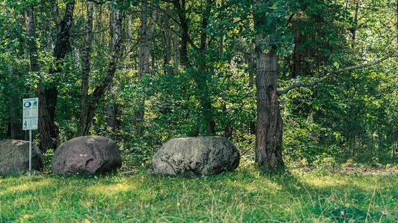 tu powstanie Park Bioróżnorodności