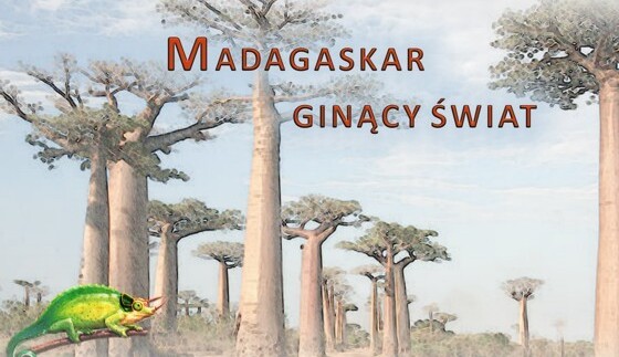 Madagaskar - ginący świat. Nowa wystawa w Uniwersyteckim Centrum Przyrodniczym
