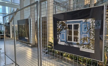 wystawa Kolorowy świat owad&oacute;w