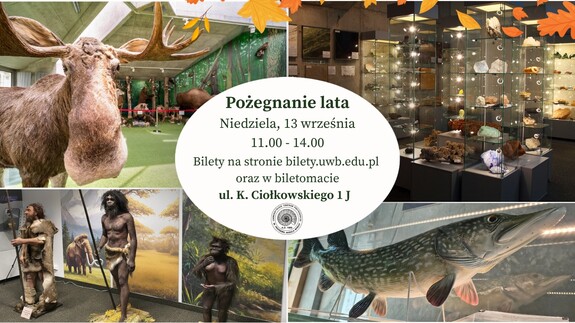 grafika