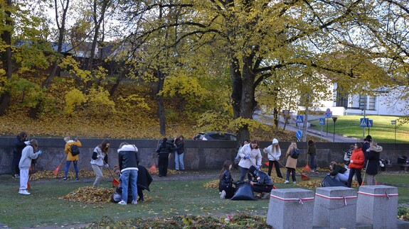 studenci sprzątają cmentarz na Rossie