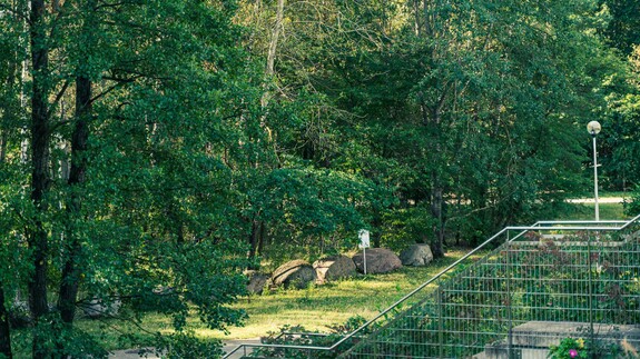 tu powstanie Park Bioróżnorodności
