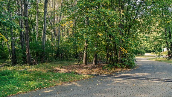 tu powstanie Park Bioróżnorodności