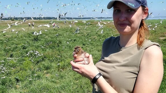 dr Dominika Winiarska