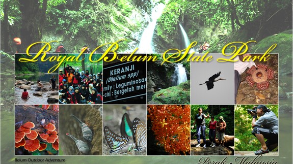Wydział Biologii UwB zaprasza na seminarium naukowe "Royal Belum State Park in northern Peninsular Malaysia"