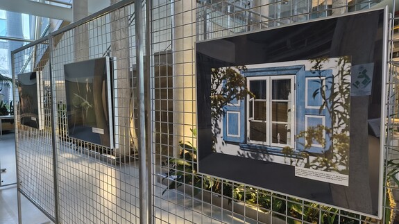 wystawa Kolorowy świat owad&oacute;w