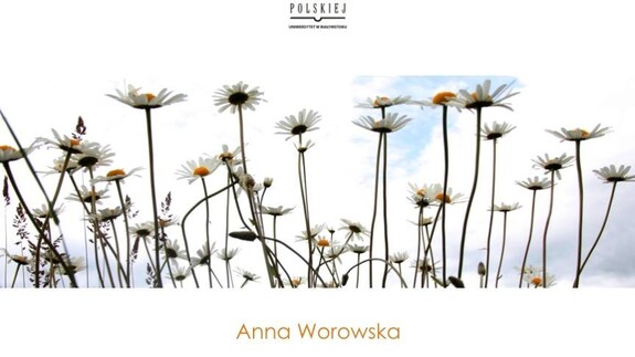 "podlaskie..." Anny Worowskiej - otwarcie nowej wystawy na schodach