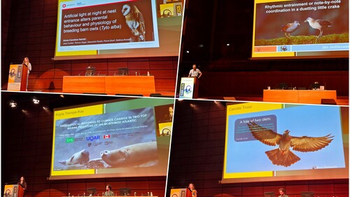 kolaż zdjęć z udziału przedstawicieli Wydziału Biologii  20. Międzynarodowym Kongresie International Society for Behavioral Ecology (ISBE 2026) w Turynie