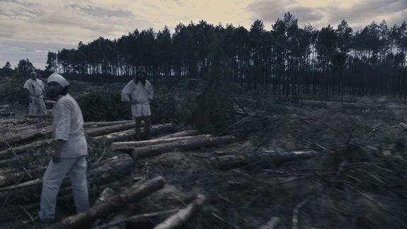 Agnieszka Polska, "Demon&rsquo;s Brain", 2018, czterokanałowa instalacja wideo, 7&prime;24&Prime;