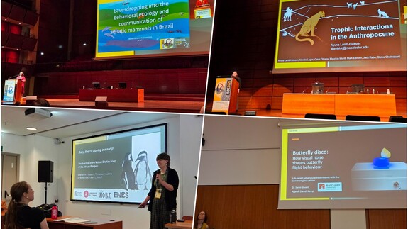 kolaż zdjęć z udziału przedstawicieli Wydziału Biologii  20. Międzynarodowym Kongresie International Society for Behavioral Ecology (ISBE 2026) w Turynie