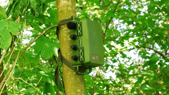 rejestrator Wildlife Acoustics