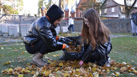 studenci sprzątają cmentarz na Rossie