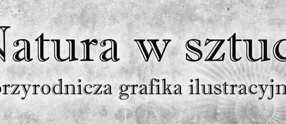 "Natura w sztuce – przyrodnicza grafika ilustracyjna" - wystawa w Uniwersyteckim Centrum Przyrodniczym