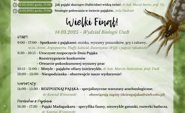 grafika