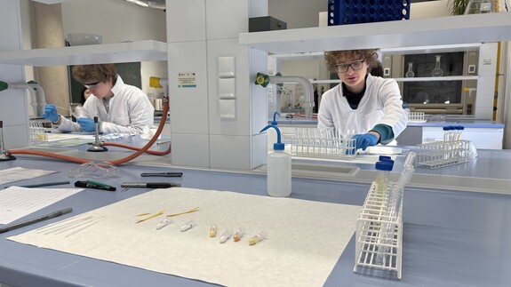 II etap 72. Olimpiady Chemicznej