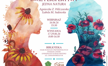 grafika