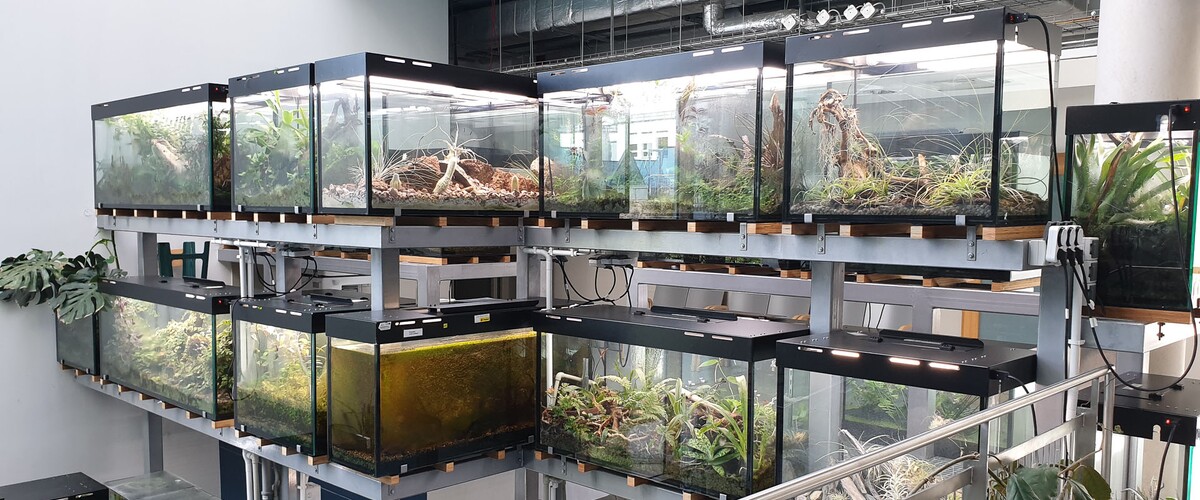 Egzotarium Wydziału Biologii UwB