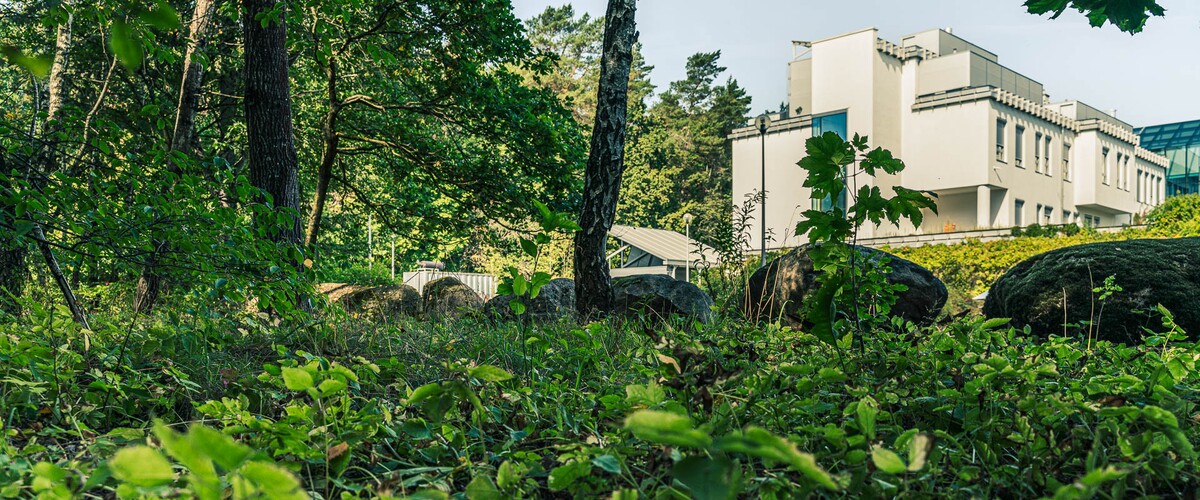 tu powstanie Park Bioróżnorodności