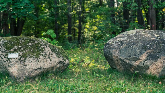 tu powstanie Park Bioróżnorodności