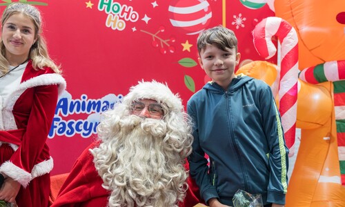 Impreza choinkowa 2026 