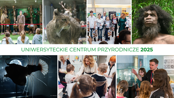 Tu można zobaczyć przyrodnicze skarby z całego świata. Centrum Przyrodnicze Uniwersytetu w Białymstoku przyciąga tysiące pasjonatów